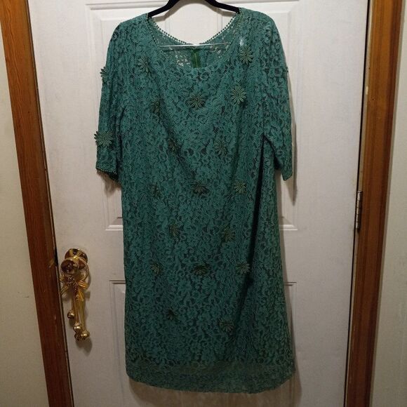 Vintage Green Lace with Daisys Dress - Picture 1 of 11